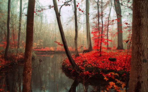 839192 (a): :1920x1200